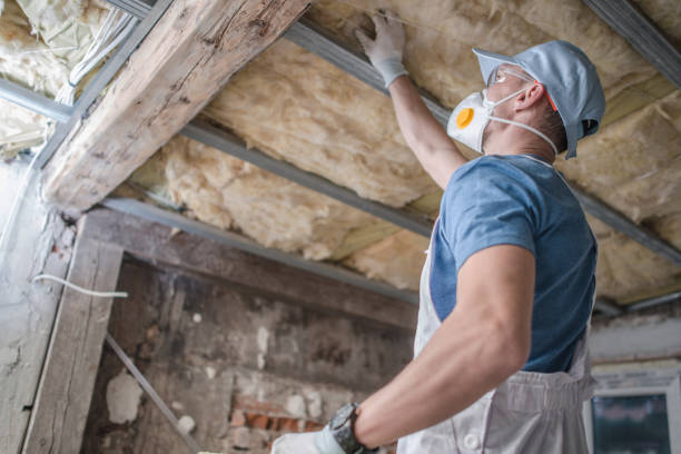 Best Professional Insulation Contractor  in Alice, TX