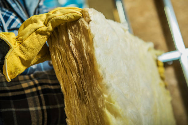 Best Local Insulation Services  in Alice, TX