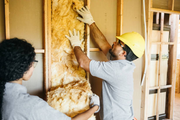 Best Best Insulation Companies  in Alice, TX