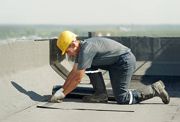 Best Energy-efficient Insulation  in Alice, TX